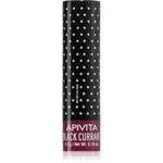Apivita Lip Care Black Currant tinted hydratačný balzam na pery 4.4 g