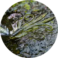 Redbass gumová nástraha nymfa olive/silver - s 53 mm