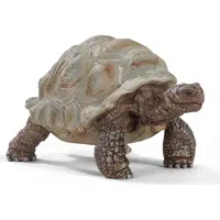 Schleich Korytnačka obrovská