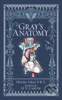 Gray's Anatomy (Barnes & Noble Collectible Editions) - kniha z kategorie Odborné a naučné