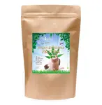 Fit4You VEGAN EXCELLENCE PROTEIN Čokoláda