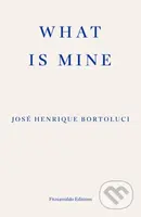 What Is Mine - Jose Henrique Bortoluci - kniha z kategorie Historie
