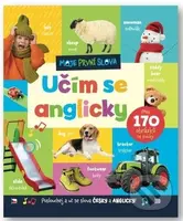 Moje první slova: Učím se anglicky (Přes 170 obrázků se zvuky) - kniha z kategorie Naučné knihy