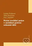 Praxe sociální práce v sociálně-právní ochraně dětí - kniha z kategorie Sociální péče