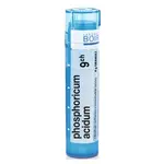 BOIRON Phosphoricum Acidum CH9 4 g