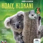 Exkurze do divočiny Koaly, klokani a další vačnatci