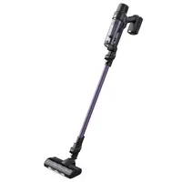 Rowenta X-Pert 7.60 RH6A31WO - Tyčový vysávač