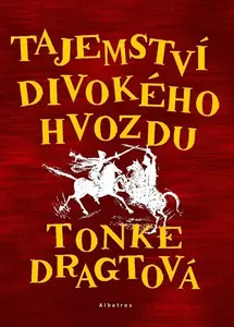 Tajemství Divokého hvozdu - Tonke Dragtová