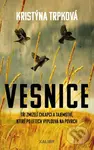 Vesnice (Tři zmizelí chlapci a tajemství, které po letech vyplouvá na povrch) - kniha z kategorie Detektivky, thrillery a horory