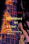 Střemhlavý let v kleci (Hovory s Bohumilem Hrabalem a jiné texty) - Josef Král