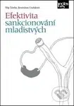 Efektivita sankcionování mladistvých - Filip Ščerba, Bronislava Coufalová - kniha z kategorie Trestní právo