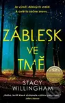 Záblesk ve tmě (Je výročí děsivých vražd. A celé to začne znovu...) - kniha z kategorie Thrillery