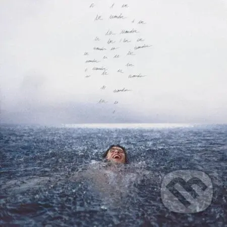 Shawn Mendes: Wonder LP - Shawn Mendes