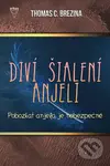 Pobozkať anjela je nebezpečné - Thomas C. Brezina - kniha z kategorie Beletrie pro děti