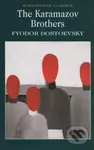 The Karamazov Brothers - Fjodor Michajlovič Dostojevskij - kniha z kategorie Beletrie