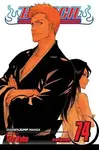 Bleach, Vol. 74 - Tite Kubo