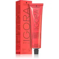 Schwarzkopf Professional IGORA Royal barva na vlasy odstín 4-33 Medium Brown 60 ml