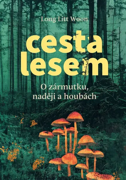 Cesta lesem