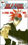 Bleach 11