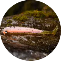 Redbass gumová nástraha ripper swimmer slim rainbow trout uv - s 70 mm