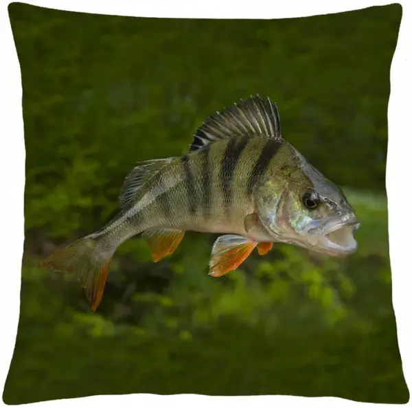 Mbh polštář okoun 40x40 cm