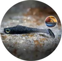 Redbass gumová nástraha ripper kicker dark black - xs 42 mm