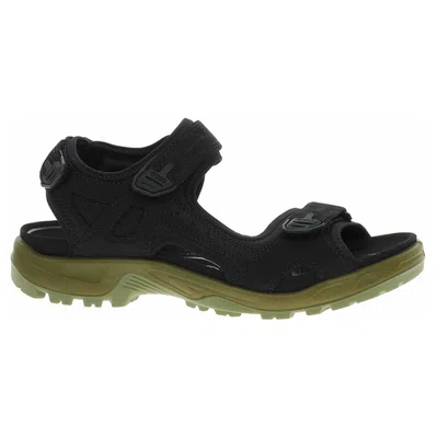 Pánské sandály Ecco Offroad 06956460886 black-corn 45