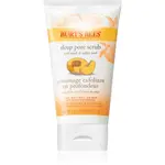 Burt’s Bees Peach & Willow Bark hloubkově čisticí peeling 113.3 g