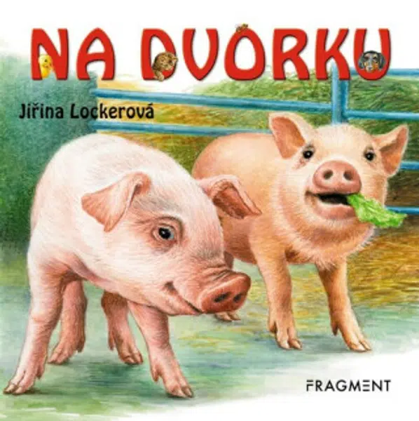 Na dvorku - Neznámý