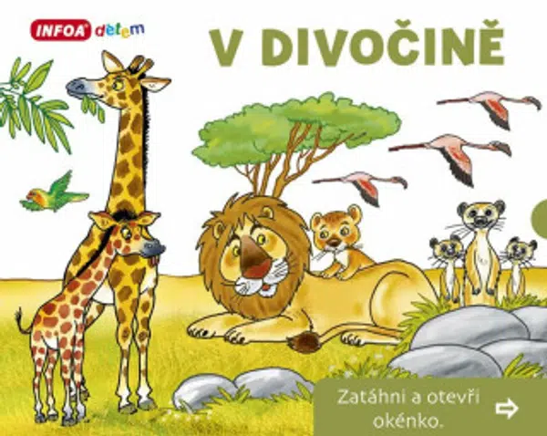 Otevři okénko - V Divočině - Pavlína Šamalíková