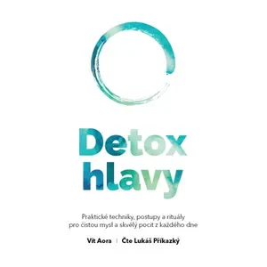 Detox hlavy - Vít Aora - audiokniha