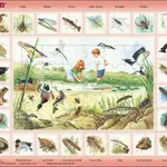 Puzzle MAXI - Život u rybníka/48 dílků