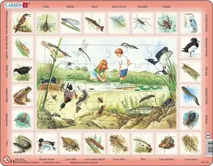 Puzzle MAXI - Život u rybníka/48 dílků