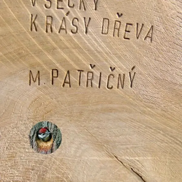 Všecky krásy dřeva - Martin Patřičný