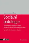 Sociální patologie - Forenzněpsychologický rozbor vybraných sociálněpatologických jevů - Slavomil Fischer, Jiří Škoda