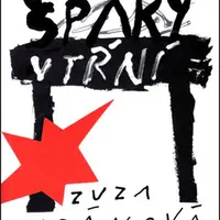 Špaky v tŕní - Zuzana Cigánová