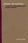 "Střední" Wittgenstein: cesta k fenomenologii a zase zpátky - Ondřej Beran