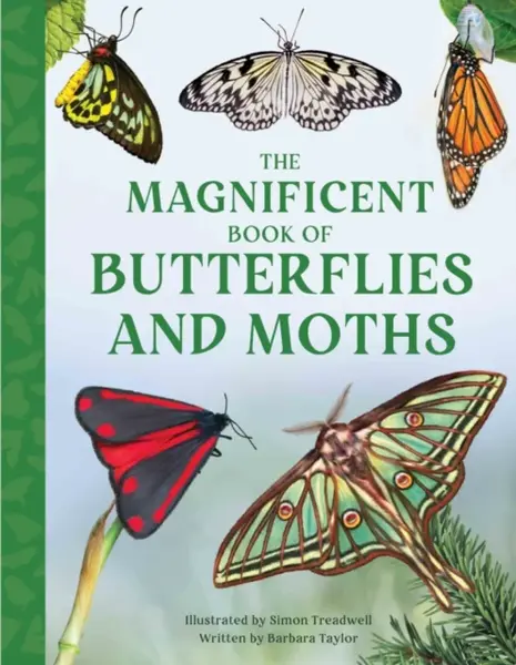 The Magnificent Book of Butterflies and Moths - Taylor Barbara