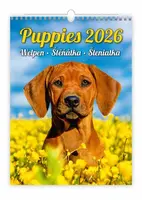 Kalendář nástěnný 2026 - Puppies/Welpen/Štěňátka/Šteniatka