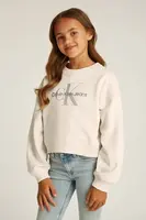 Dětská bavlněná mikina Calvin Klein Jeans béžová barva, s potiskem, IG0IG02823