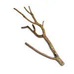 Hobby Korková větev 75-100cm