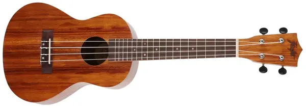 Flight NUC200 Natural