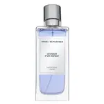 Angel Schlesser Luminous Violet toaletní voda pro ženy 100 ml