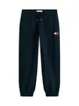 TOMMY HILFIGER Nohavice  tmavomodrá / červená / biela