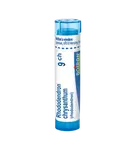 Boiron RHODODENDRON CHRYSANTHUM CH9 granule 4 g