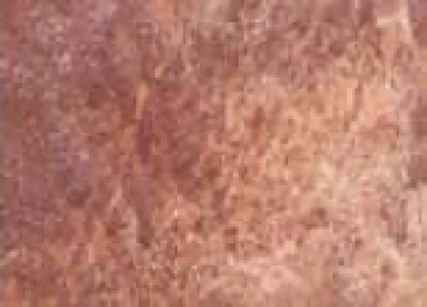 Akvarelová barva DS 15ml – 204 Burnt Bronzite Genuine