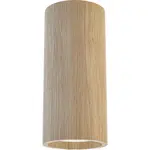 XXXL STROPNÍ BODOVÉ SVÍTIDLO, 6/13 cm
