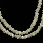 Natural White Shell Beads Strands