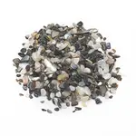 Natural Freshwater Shell Beads