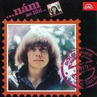 Jiří Schelinger, Skupina Františka Ringo Čecha – ...nám se líbí...